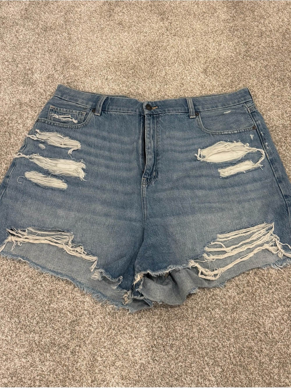 American Eagle Outfitters Distressed Light Blue Denim Shorts